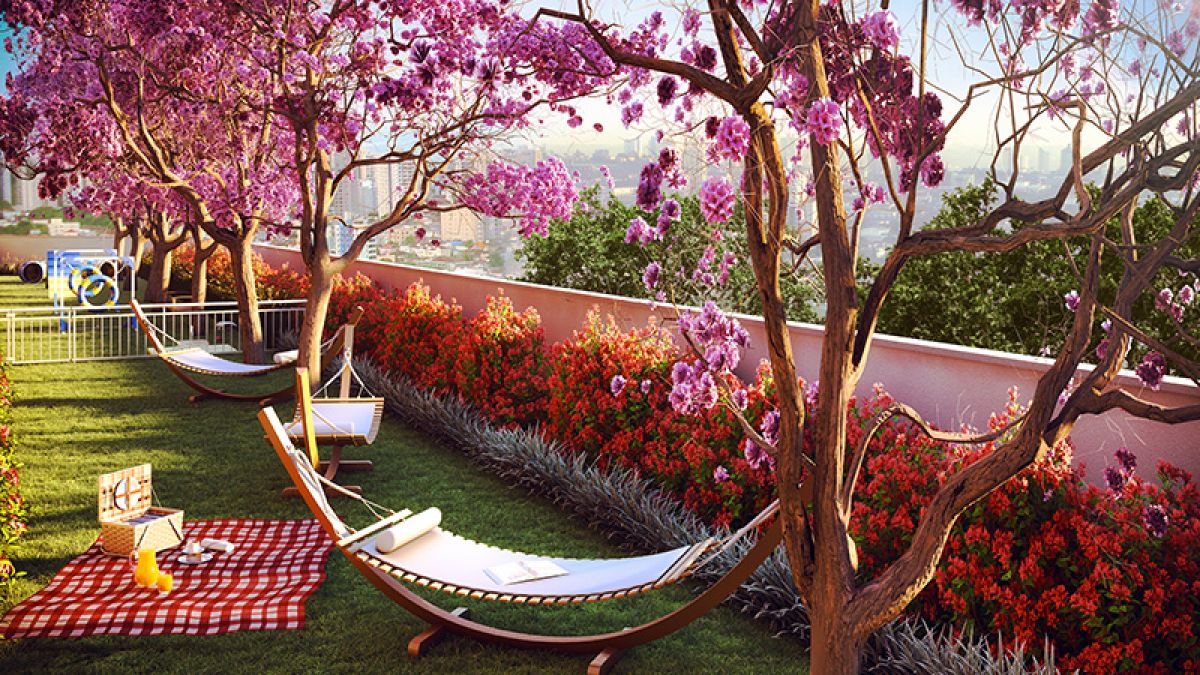 Pet Place e Rendário