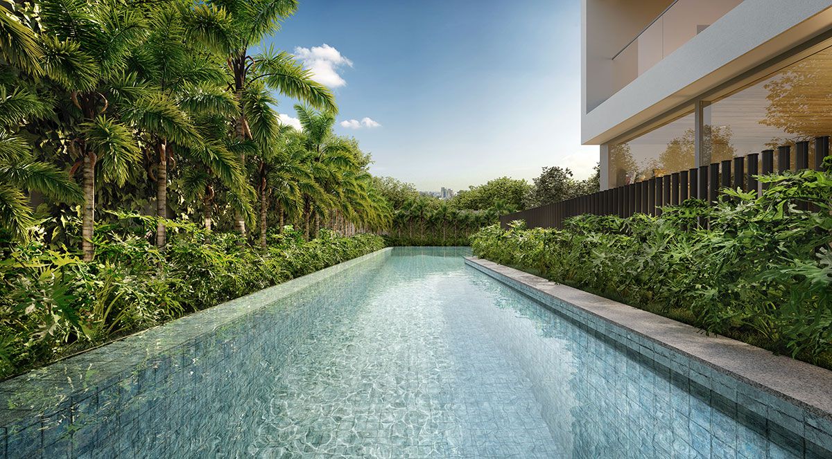 Ilustração Artística da Raia da Piscina